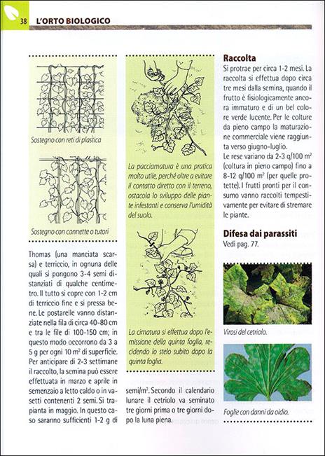 Orto e frutteto biologici. Guida completa per ottenere ortaggi e frutti sani e gustosi - 8