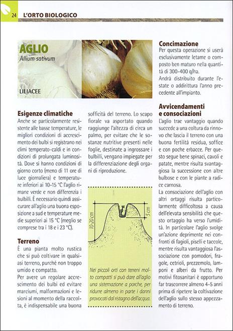 Orto e frutteto biologici. Guida completa per ottenere ortaggi e frutti sani e gustosi - 9