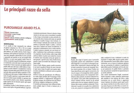 Il libro completo dell'equitazione. L'allenamento e i diversi tipi di monta - Vincenzo De Maria - 2