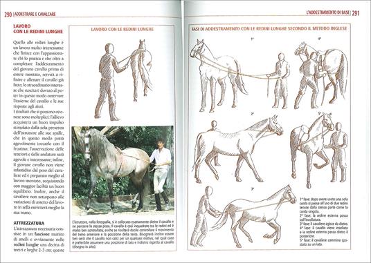 Il libro completo dell'equitazione. L'allenamento e i diversi tipi di monta - Vincenzo De Maria - 6