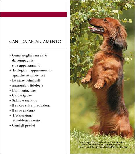 Cani da appartamento - Michel Bolzinger - 2