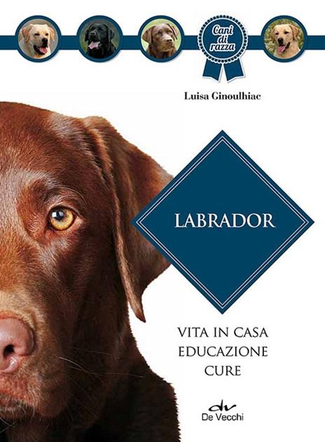 Labrador - Luisa Ginoulhiac - copertina