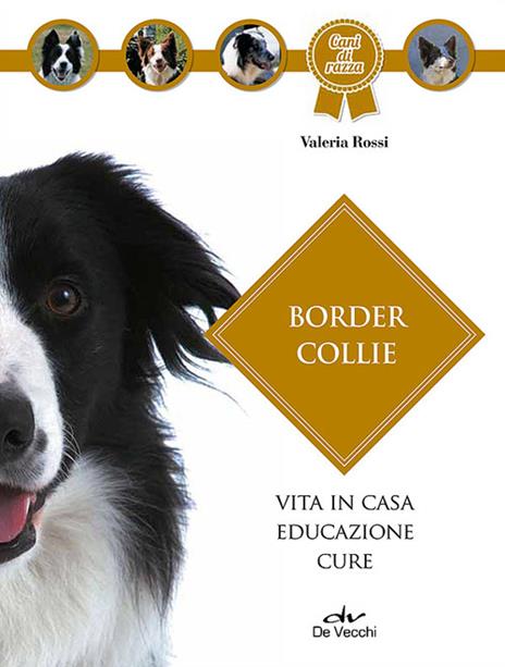 Border collie - Valeria Rossi - copertina