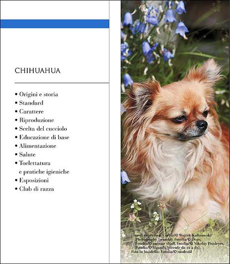 Chihuahua - Candida Pialorsi Falsina,Antonella Tomaselli - 2