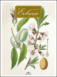 Libraccio