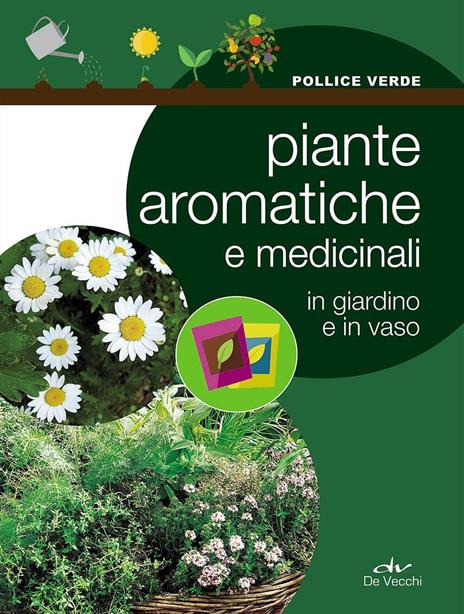 Piante aromatiche e medicinali in giardino e in vaso - 3