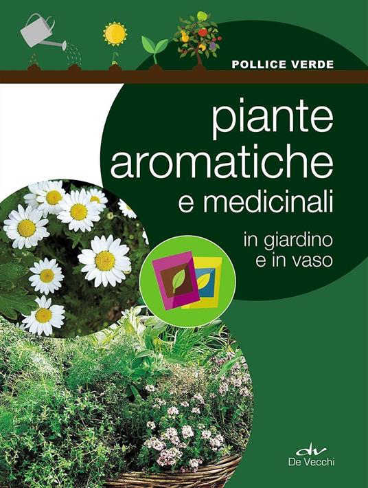 Piante aromatiche e medicinali in giardino e in vaso - copertina
