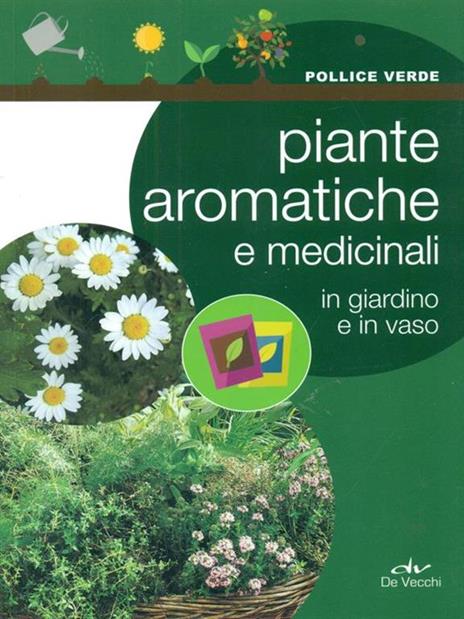 Piante aromatiche e medicinali in giardino e in vaso - 2