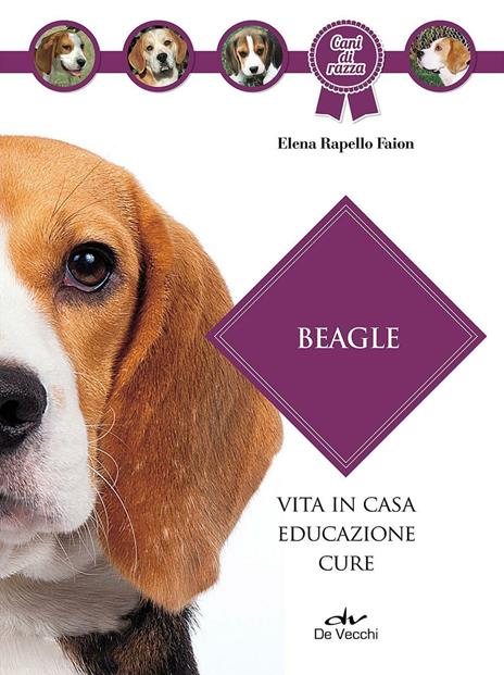 Beagle - Elena Rapello Faion - copertina