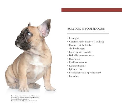 Bulldog e bouledogue. Educazione, addestramento, cure - Valeria Rossi - 3
