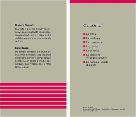 Le cocorite - Elisabetta Gismondi - 2