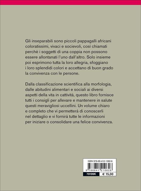 Gli inseparabili - Gianni Ravazzi - 3