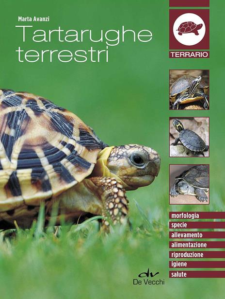Tartarughe terrestri - Marta Avanzi - copertina