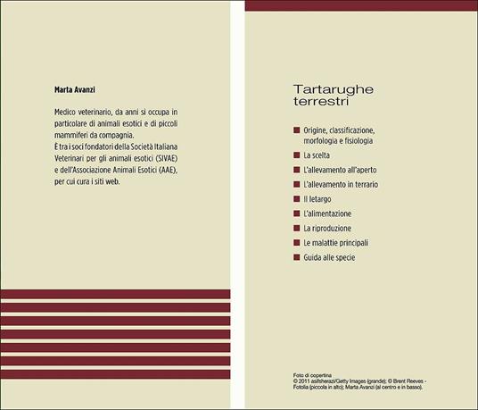 Tartarughe terrestri - Marta Avanzi - 2