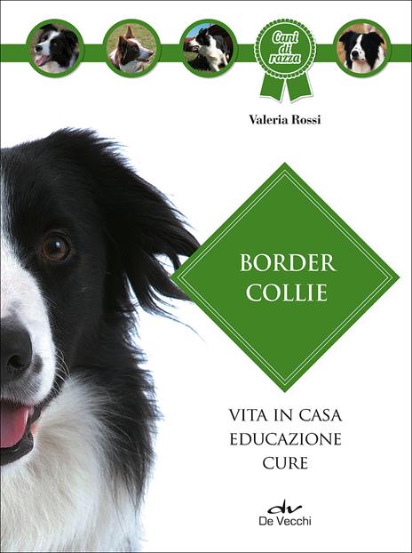 Border collie - Valeria Rossi - 2