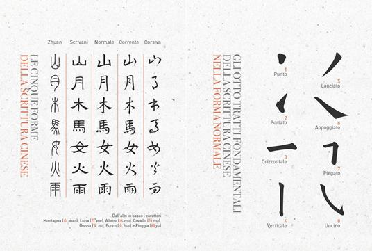 Calligrafia cinese. Impara a scrivere le prime 60 parole. Con gadget - Nicola Piccioli,Paola Billi - 4