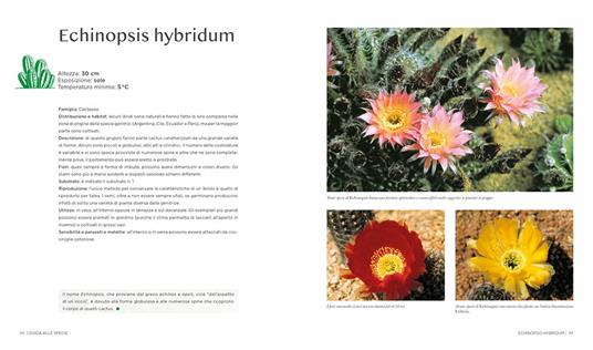 Il grande libro dei cactus e delle piante grasse - Carme Arana Farré - 4