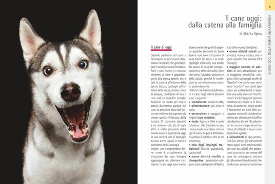 Segreti per la lunga vita del cane. Esercizi, alimentazione e cure - Aldo La Spina,Tiziana Gori - 5