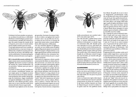 Dizionario di apicultura - Corrado Rainaldi - 4