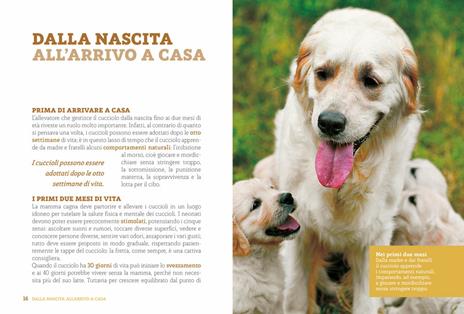 L'educazione del tuo cane - Emanuela Valena - 5