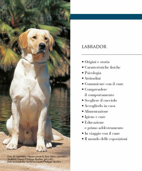 Labrador. Vita in casa, educazione, cure. Nuova ediz. - Luisa Ginoulhiac - 3