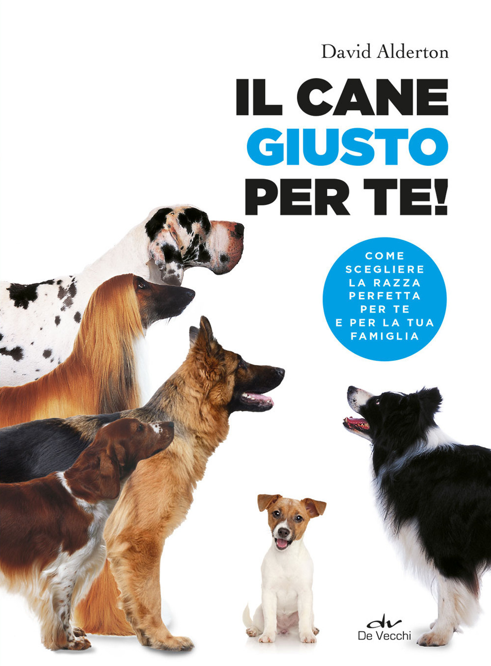 Libraccio