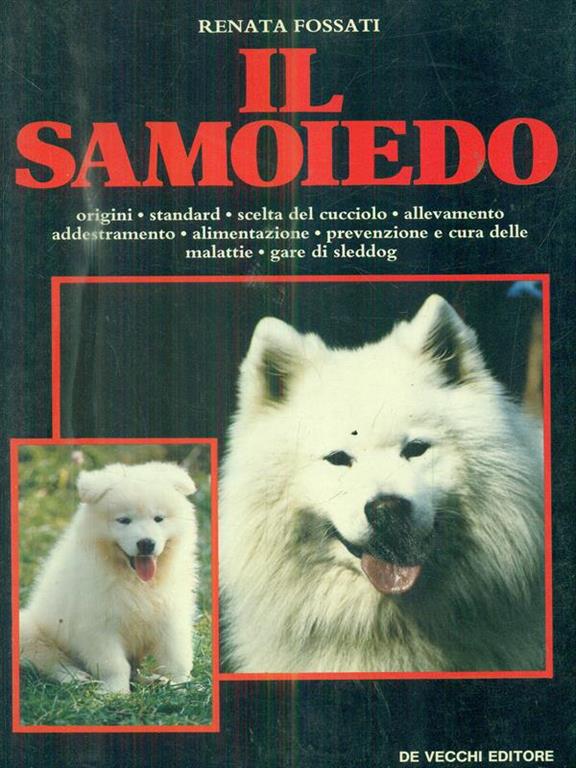 Libraccio