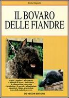Nome prodotto