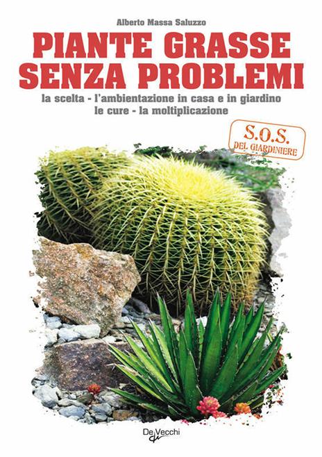 Piante grasse senza problemi - Alberto Massa Saluzzo - ebook