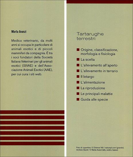 Tartarughe terrestri - Marta Avanzi - ebook - 4