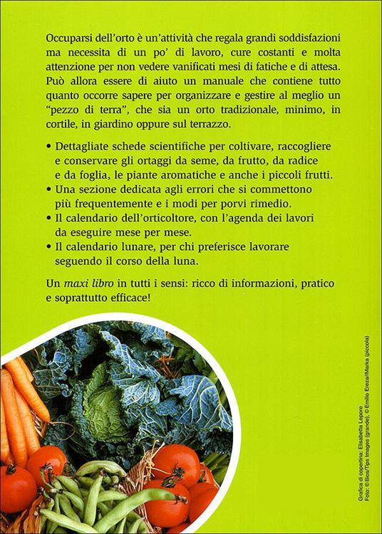 Il maxi libro dell'orto. Come progettare, organizzare e curare il tuo orto - Enrica Boffelli,Guido Sirtori - ebook - 6