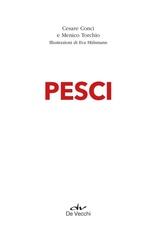 Pesci. Specie più diffuse, pesci marini, pesci d'acqua dolce, pesci d'acquario, classificazione - Cesare Conci,Menico Torchio - 3
