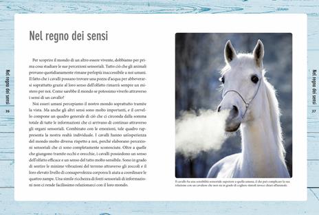 Nella mente del cavallo. Capire le sue emozioni, rispettare la sua intelligenza - Marlitt Wendt - 4