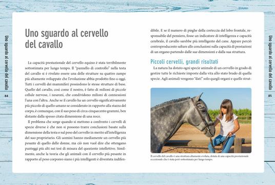 Nella mente del cavallo. Capire le sue emozioni, rispettare la sua intelligenza - Marlitt Wendt - 5