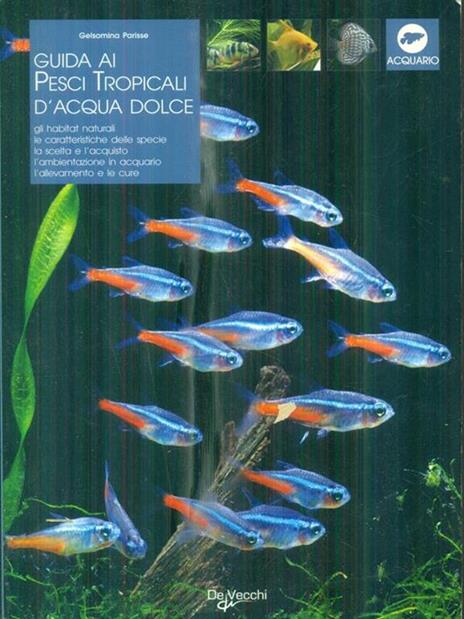 Guida ai pesci tropicali d'acqua dolce - Gelsomina Parisse - 2