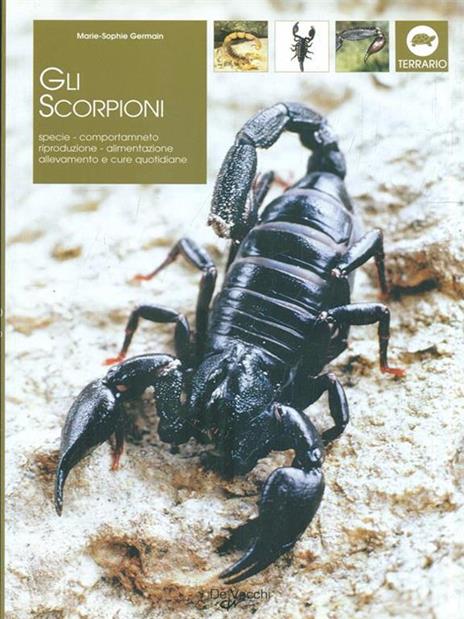 Gli scorpioni - 4