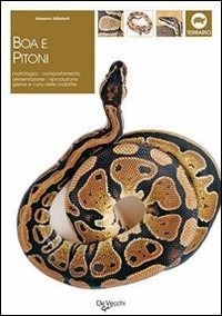 Spaziomedia