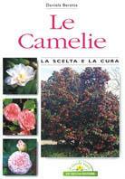 Le camelie - Daniela Beretta - copertina