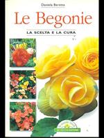 Le begonie