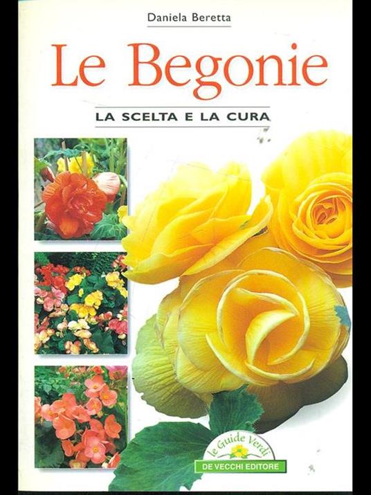 Le begonie - Daniela Beretta - copertina