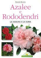 Azalee e rododendri - Daniela Beretta - copertina