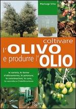 Coltivare l'olivo e produrre l'olio