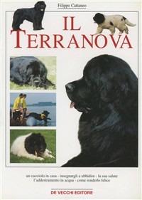 Il terranova - Filippo Cattaneo - copertina
