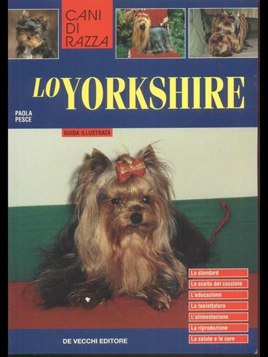 Lo yorkshire - Paola Pesce - 3