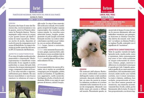 342 cani di razza. Caratteristiche fisiche e psicologiche, storia, attitudini, curiosità - Valeria Rossi - 4