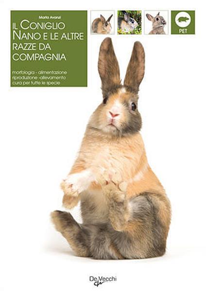 Il coniglio. Il nano e le altre razze da compagnia. Morfologia, comportamento, alimentazione, riproduzione, salute - Marta Avanzi - copertina