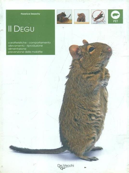 Degu - Florence Desachy - copertina
