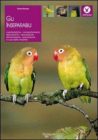 Gli inseparabili - Gianni Ravazzi - copertina