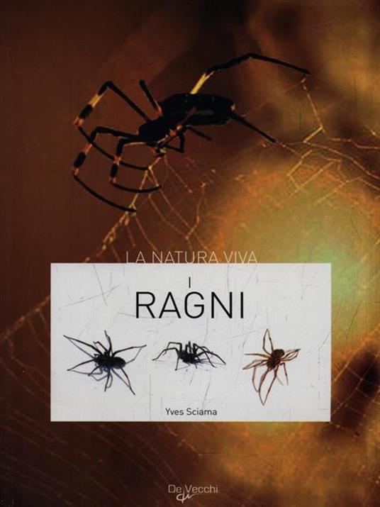 I ragni - Yves Sciama - copertina