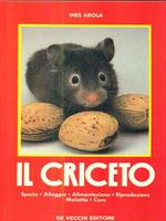 Il criceto